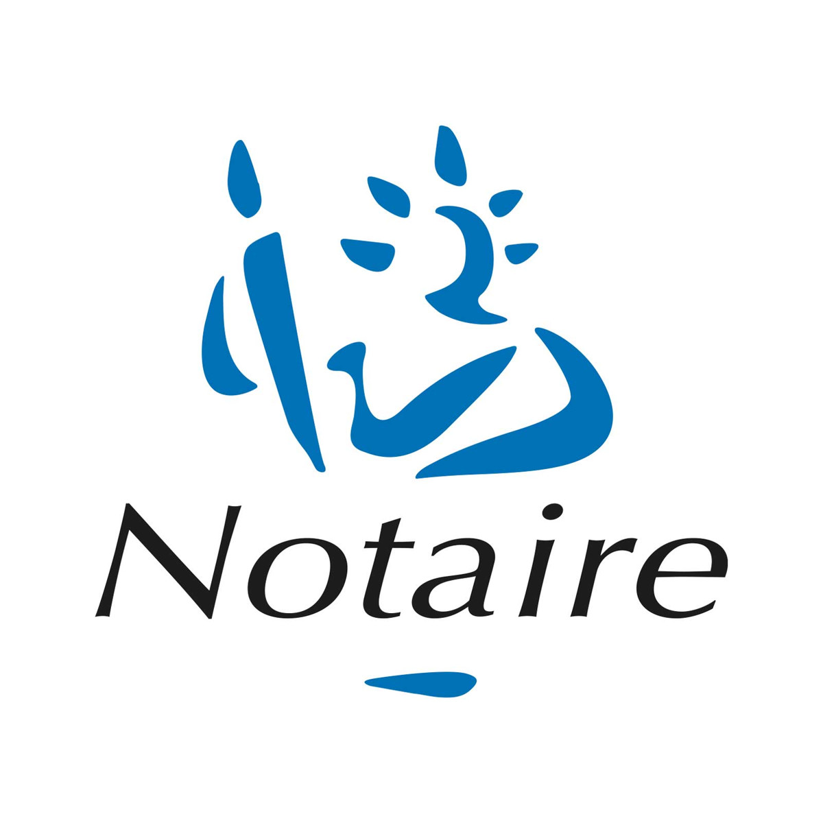 Logo officiel Notaires de France - Office Notarial France Malépart